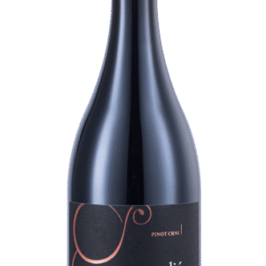 Pinot Noir crni 2019